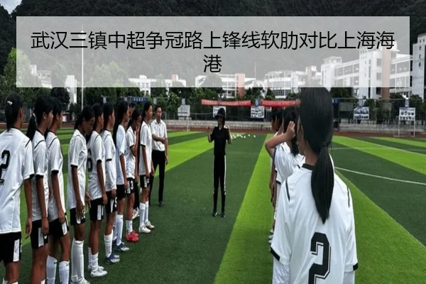 武汉三镇中超争冠路上锋线软肋对比上海海港 - lolesports